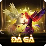 Đá gà Hubet